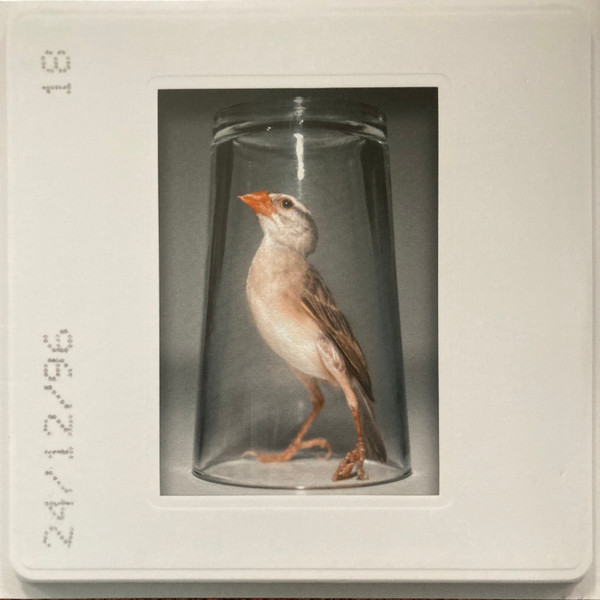 Tantrum - Twisted In Anguish | Head Records (HR047)