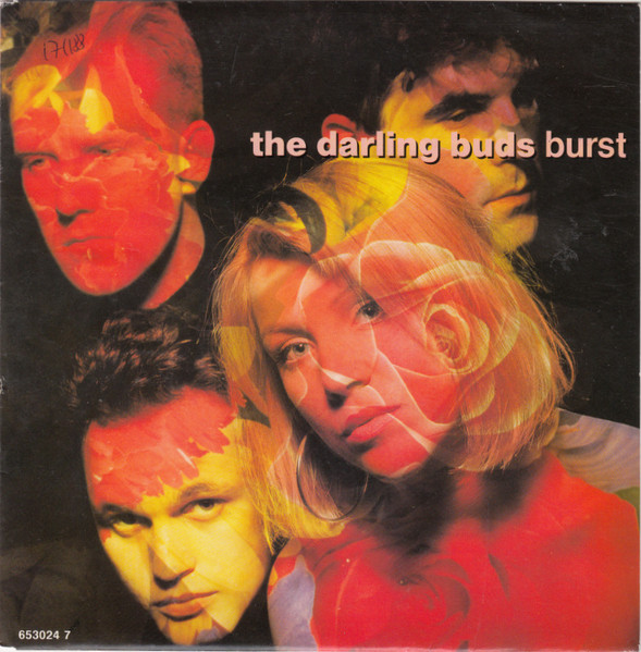 The Darling Buds - Burst | Epic (653024 7)