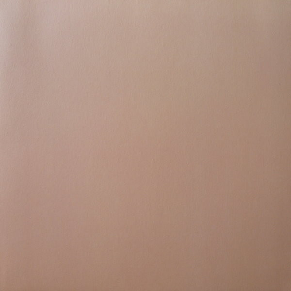 Tortoise & Bonnie "Prince" Billy - The Brave And The Bold | Domino (WIGLP167) - 5