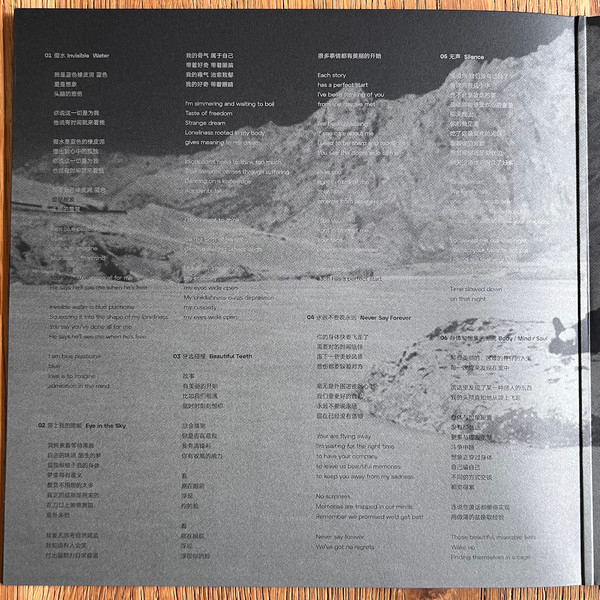 The Fuzz - Folding Story / 折叠故事 | Pelagic Records (PEL 246-V) - 4