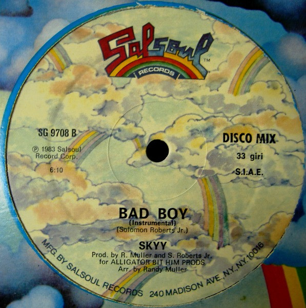 Skyy - Bad Boy | Salsoul Records (SG 9708) - 3