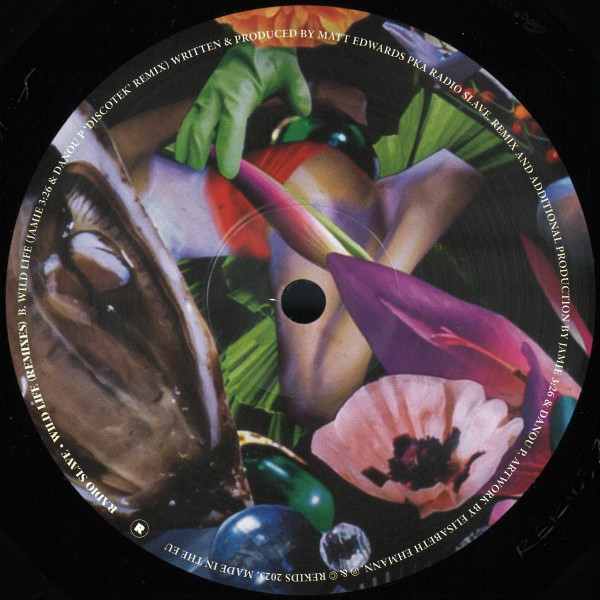 Radio Slave - Wild Life (Remixes) | REKIDS (REKIDS 222R)