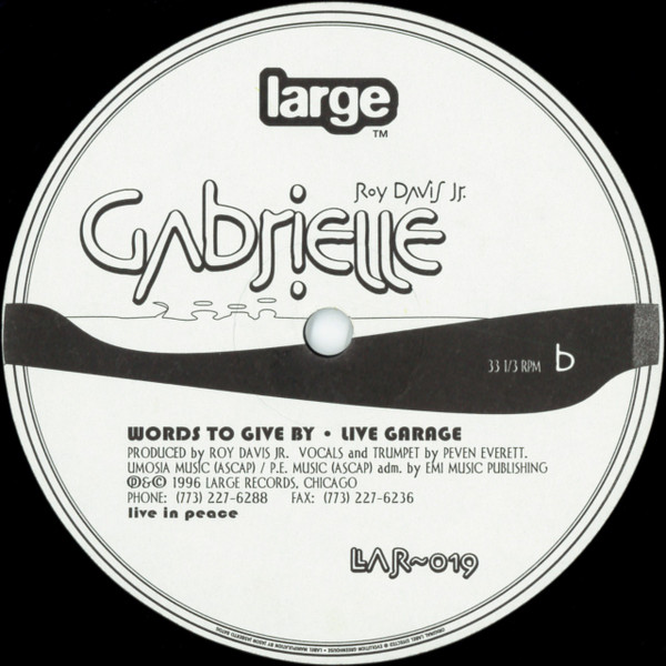 Roy Davis Jr. - Gabrielle | Large Records (LAR-019) - 2