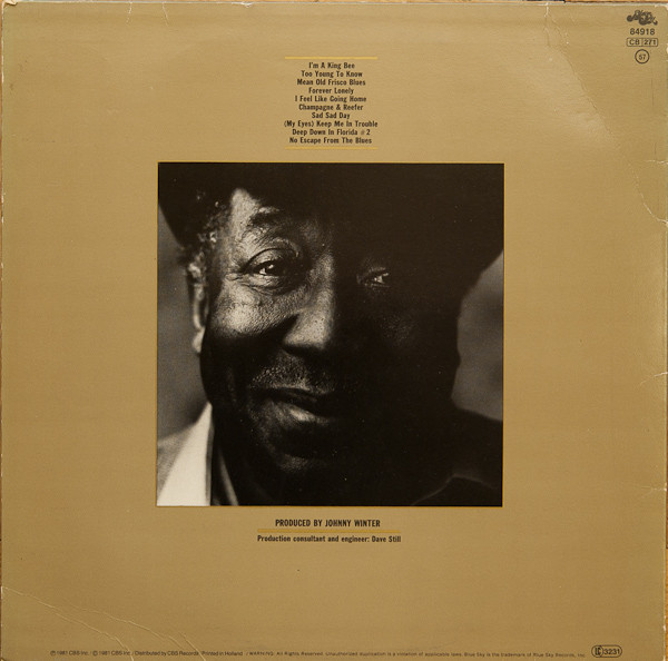 Muddy Waters - King Bee | Blue Sky (SKY 84918) - 2