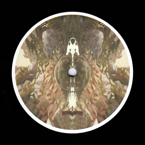Birds Ov Paradise - Part 3: Plateau | Hypnus Records (HYPNUS020) - 2 Birds Ov Paradise - Part 3: Plateau | Hypnus Records (HYPNUS020) - 2