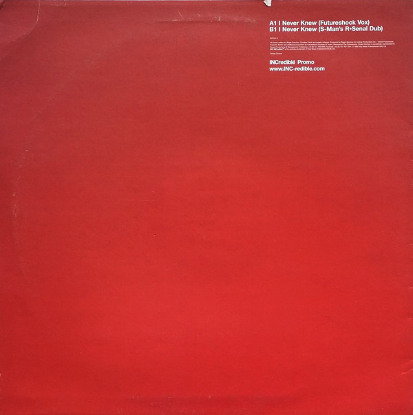 Roger Sanchez - I Never Knew | INCredible (007513 6) - 2