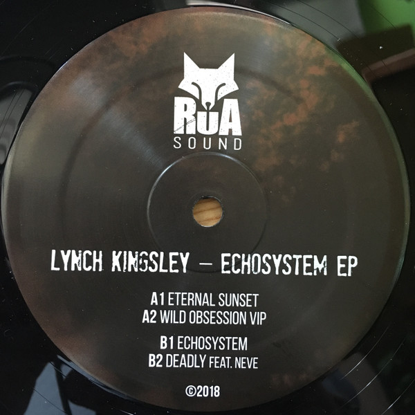 Lynch Kingsley - Echosystem EP | Rua Sound (RUA006) Lynch Kingsley - Echosystem EP | Rua Sound (RUA006)