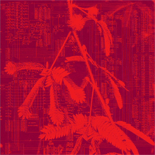 Hidden Horse - Incorporeal | Holuzam (ZAM035)