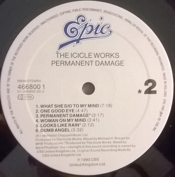 The Icicle Works - Permanent Damage | Epic (466800 1) The Icicle Works - Permanent Damage | Epic (466800 1)