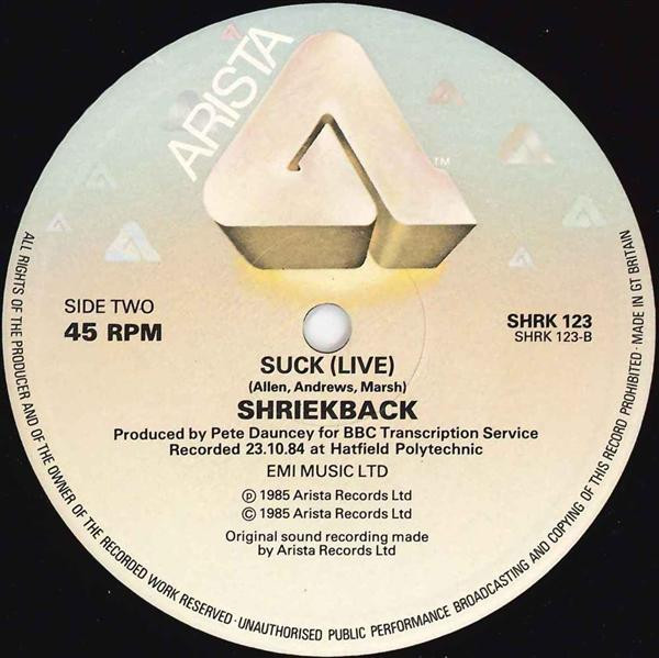 Shriekback - Nemesis (Extended) | Arista (SHRK 123) - 3