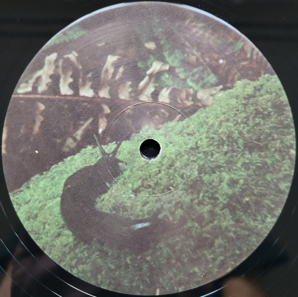 Yo La Tengo - Old Joy | Mississippi Records (MRI-213) - 4