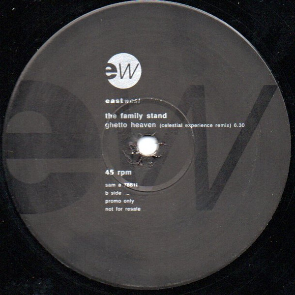 The Family Stand - In Summer I Fall | EastWest (sam a 7861t) - 2