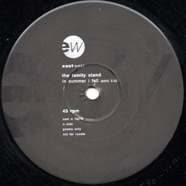 The Family Stand - In Summer I Fall | EastWest (sam a 7861t) - main