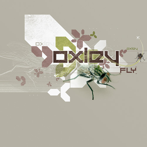 Oxley - Fly | Babaorum Records (BABA 077)