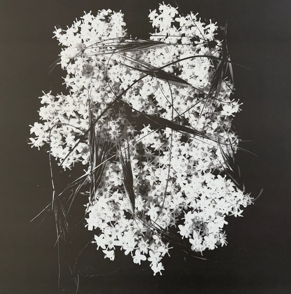 Membrane - Deathly Silence | Day Off (DAYOFF#32)