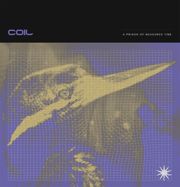 Coil - A Prison Of Measured Time | Old Europa Cafe (OELP 033)