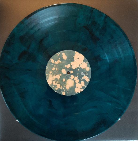 Terraformer - Rebirth | Not On Label (none) - 3