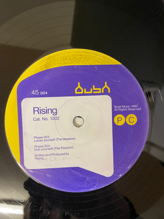 Rising - Phase 003 / Phase 004 | Bush (Bush 1002) - main Rising - Phase 003 / Phase 004 | Bush (Bush 1002) - main