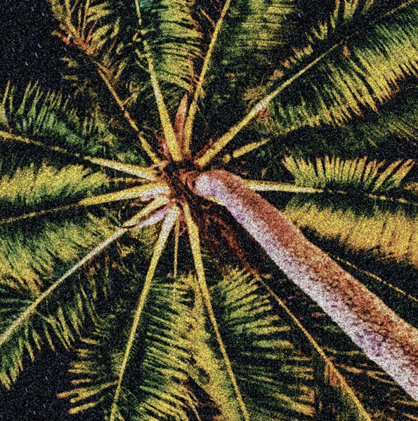 Various - PREVISION #02 | forecast label (FRCST010)