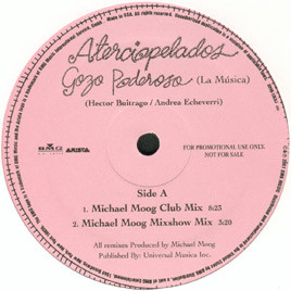 Aterciopelados - Gozo Poderoso (La Música) | BMG U.S. Latin (3246-1-RLDJ)