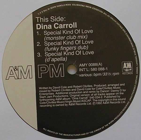 Dina Carroll - Special Kind Of Love | A&M PM (AMY 0088) - 2 Dina Carroll - Special Kind Of Love | A&M PM (AMY 0088) - 2