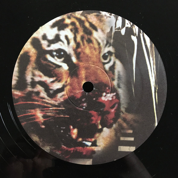 Bill Converse - Converse | Fit Sound (FIT-020)