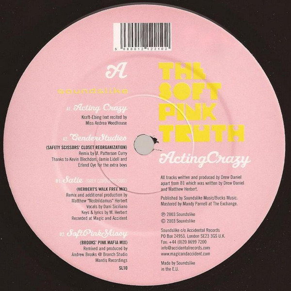 The Soft Pink Truth - Acting Crazy | Soundslike (SL10) - 3
