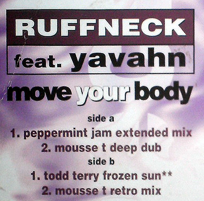 Ruffneck  &  Yavahn - Move Your Body | D:Vision Records (DV 158) - 2