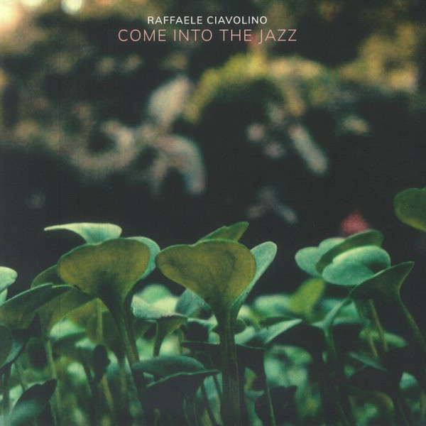 Raffaele Ciavolino - Come Into The Jazz | Groove Culture Deep (GCVDEEP009)