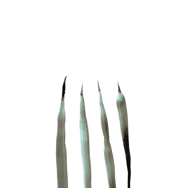 Jon Gaiser - Flashed | M_nus (minus82) - main