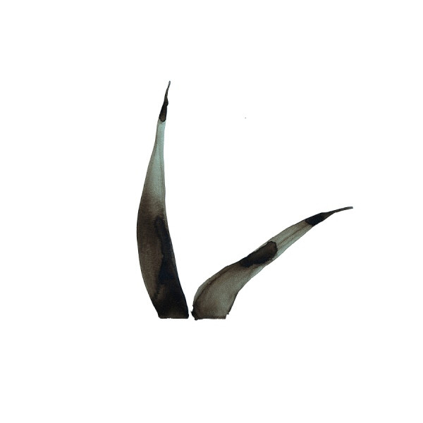 Jon Gaiser - Flashed | M_nus (minus82) - 2