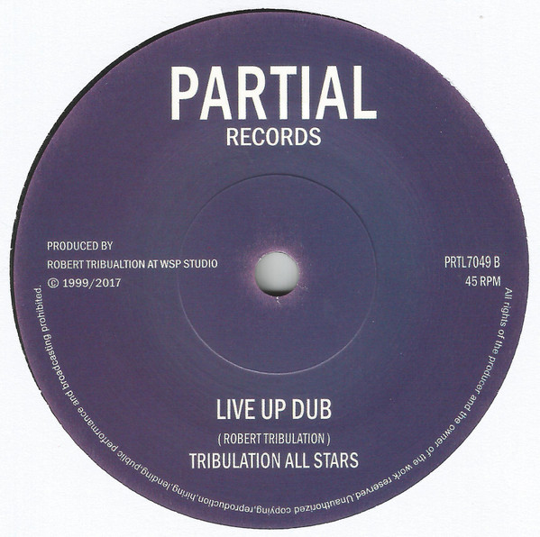 Delroy Dyer - Live Up | Partial Records (PRTL 7049) - 2