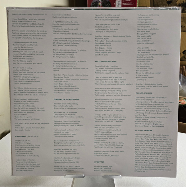 The Barr Brothers - Let It Hiss | Secret City Records (SCR186LP) - 4