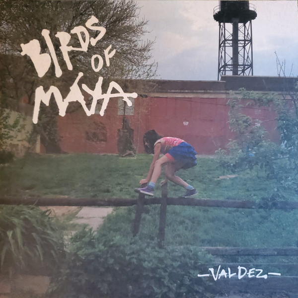 Birds Of Maya - Valdez | Drag City (DC835)