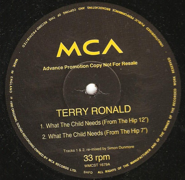 Terry Ronald - What The Child Needs | MCA Records (WMCST 1679)