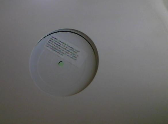 Sapien Featuring Amanda Cee - Something To Say | Destiny Musicworks (DM20022) - main