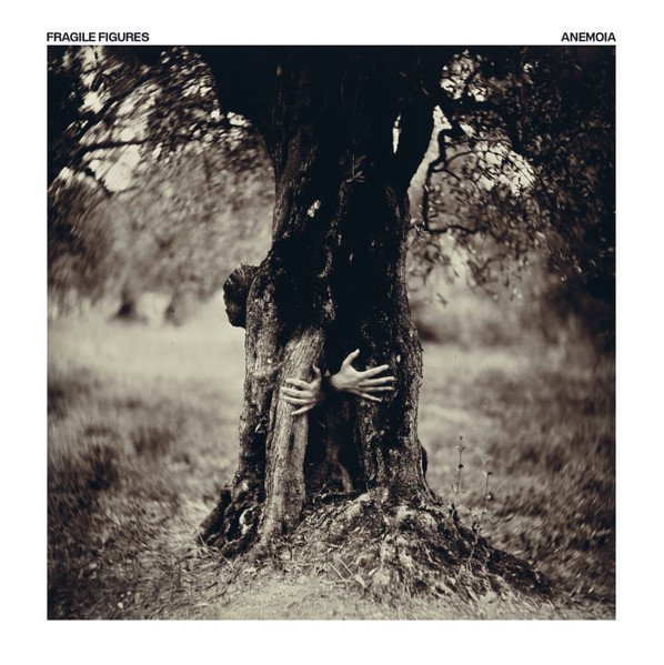 Pochette de Fragile Figures — Anemoia