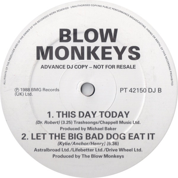 The Blow Monkeys - This Is Your Life | RCA (PT 42150 DJ) - 2