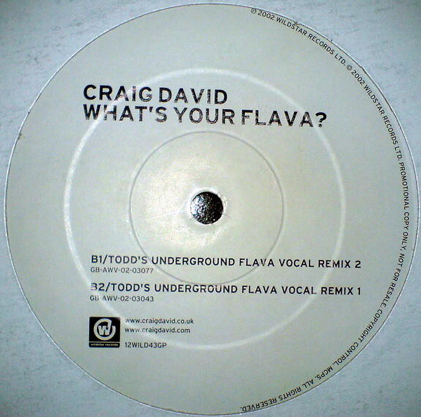 Craig David - What's Your Flava? | Wildstar Records (12WILD43GP) - main
