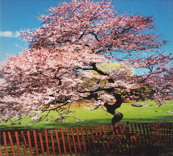 A Reminiscent Drive - Mercy Street | F Communications (F071CD) - main
