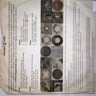 Various - Screamers, Bangers & Cosmic Synths | Triassic Tusk Records (TTLP01) - 2