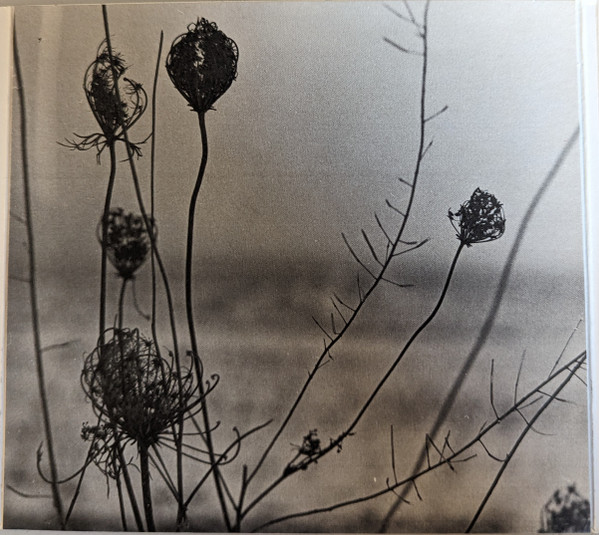 Recondite - Acid | Acid Test (none) - 4 Recondite - Acid | Acid Test (none) - 4