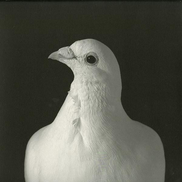 Miss NatNat - Fleeth | Acker Records (ACKER RECORDS 35) - main