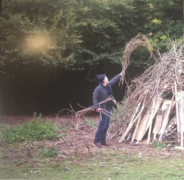 Glen Hansard - This Wild Willing | Anti- (7661-1LP) - 3