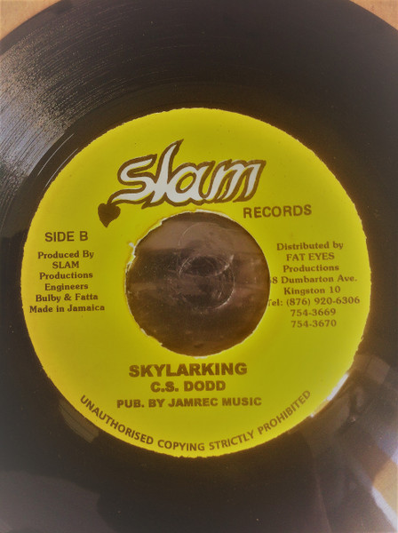 Sizzla - Judgement | Slam Records (none) - 2