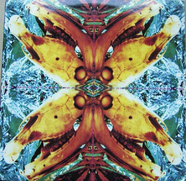 Acid Horse - No Name, No Slogan | Devotion (12DVN 103) - main Acid Horse - No Name, No Slogan | Devotion (12DVN 103) - main