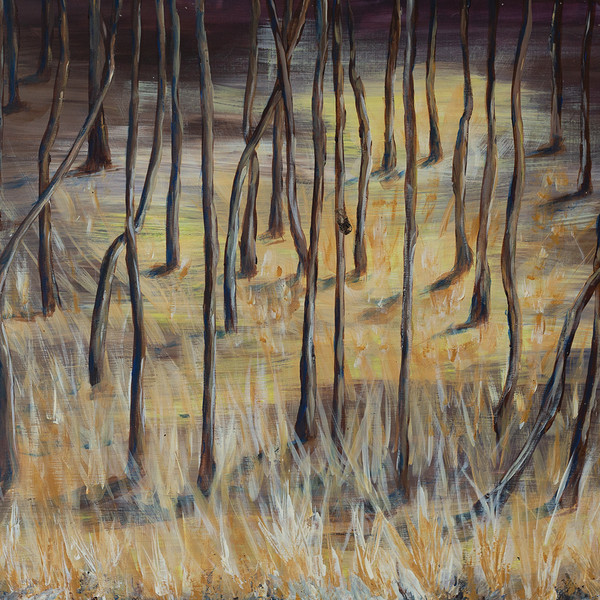 Eddie Hale - Far Beyond | Denude (DND003)