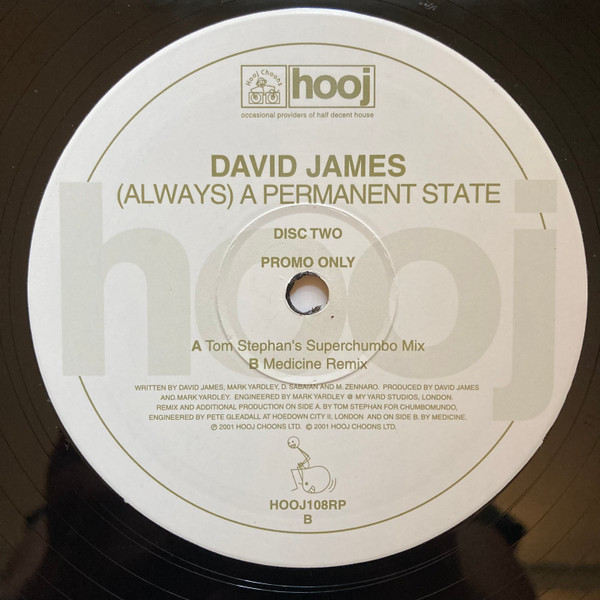 David James - (Always) A Permanent State | Hooj Choons (HOOJ108RP)