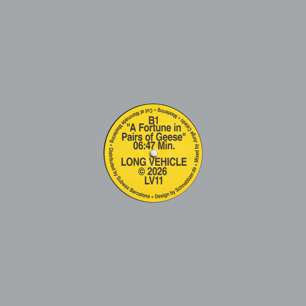 Henry Hodson - Coado | Long Vehicle (LV11) - 2