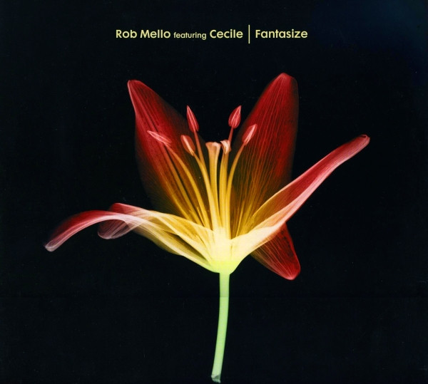 Rob Mello Featuring Cécile - Fantasize | Classic (CMC49)